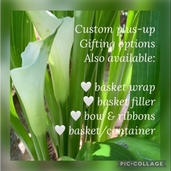 Custom orders available aromatherapy spa gift set self care organic handcrafted - Picture 8 of 12